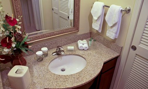 hw_bathamenities_15_505x305_FitToBoxSmallDimension_Center